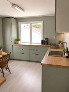 a kitchen with green cabinets and a sink and a window at Hovstø Hytter & Rom in Seljord