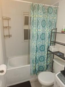 a bathroom with a shower curtain and a toilet at Casa agustina 2 in Valdivia