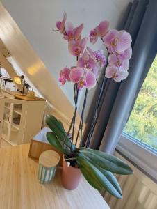 a vase with pink flowers sitting on a table at Quiet Riverside Apartment in Grosley-sur-Risle