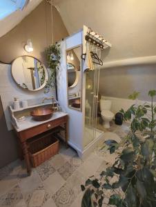 a bathroom with a sink and a mirror and a toilet at Quiet Riverside Apartment in Grosley-sur-Risle