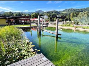 a body of water with a dock in the middle at Alpenresidenz Viktoria in Türnitz