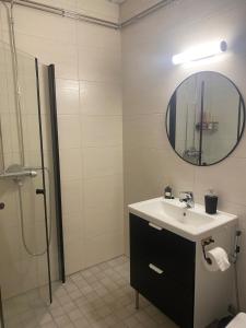 a bathroom with a sink and a mirror and a shower at Kasakankuja Kajaani in Kajaani