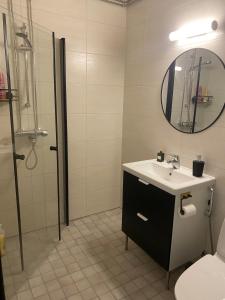 a bathroom with a sink and a shower and a mirror at Kasakankuja Kajaani in Kajaani