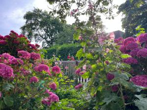 ein Garten voller rosa Blüten in der Unterkunft Brissago in Nes + 27 Fotos