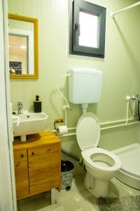 a bathroom with a toilet and a sink and a mirror at Casa Dunja Čačak in Čačak