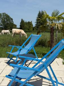 two blue lawn chairs sitting in a field with cows at Château Talence 1870 in LʼAbsie