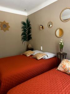 two beds sitting next to each other in a room at La maisonnette aux oiseaux - Vacances en Provence in Oppède +62 photos