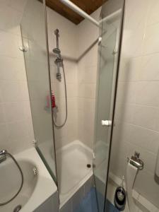 a bathroom with a shower and a sink at Ruhige Wohnung im Grünen Lichtenwald in Thomashardt
