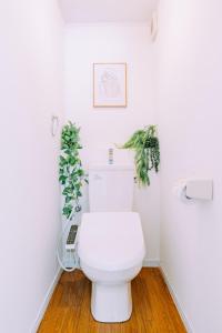 a bathroom with a white toilet and a plant at Chic 1 Bedroom Space Near Nakasu in Fukuoka +38 photos