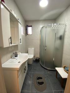 a bathroom with a shower and a sink and a toilet at Gashi Home in Prizren +6 photos