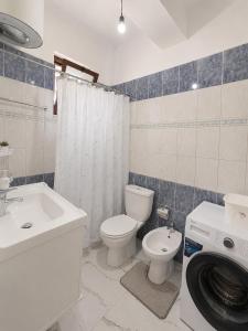 a bathroom with a toilet sink and a washing machine at Ledi’s Home in Borsh