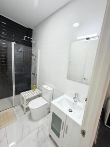 a bathroom with a toilet and a sink and a shower at Residencia Porta Nova in Ferrol