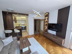 a living room with a couch and a flat screen tv at Stan na dan Hilandarska 9 in Lukavica