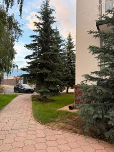 a car is parked next to two christmas trees at Barskhan Guest House in Bosteri