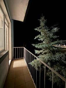 a christmas tree on the balcony of a house at Barskhan Guest House in Bosteri +10 photos