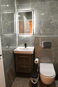a bathroom with a sink and a toilet and a mirror at Luxury Flats - Hendon in Colindale +48 photos