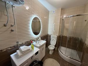 a bathroom with a sink and a toilet and a shower at Stan na dan Hilandarska 9 in Lukavica +35 photos