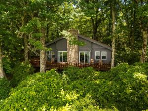 a house in the middle of the forest at Blue View Chalet in Blowing Rock