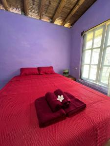 a bedroom with a red bed with a purple wall at Taroland in Máncora