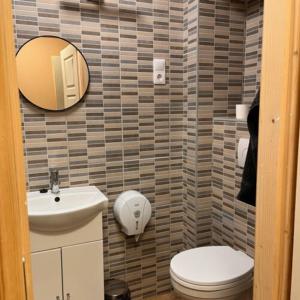 a bathroom with a sink and a toilet and a mirror at Pitvar Vendégház in Zalaegerszeg +17 photos