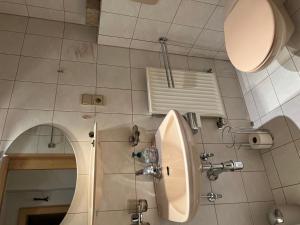 a bathroom with a toilet and a sink and a mirror at Berghaus Appartment in Biberwier