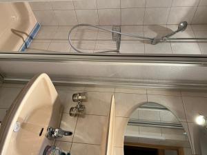 a shower in a bathroom with a sink and a mirror at Berghaus Appartment in Biberwier