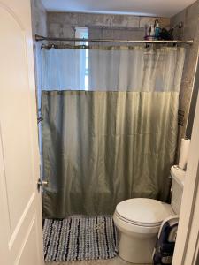 a bathroom with a toilet and a shower curtain at Queeneby in Brockton