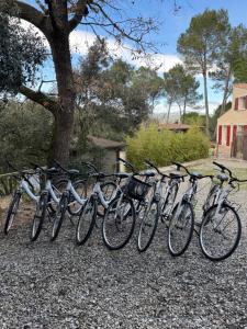 a row of bikes parked next to a tree at Domaine d'Olga - Lodges & SPA in Aniane