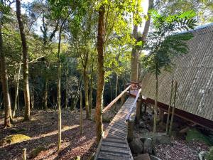a wooden bridge in the middle of a forest at Cabana Aracuã in Três Coroas