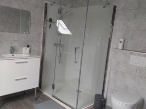 a bathroom with a shower and a toilet and a sink at De oude statie in Tessenderlo +12 photos