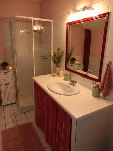 a bathroom with a sink and a mirror and a shower at La Longère de la Promenade in Château-Chinon