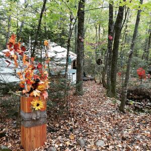 a wooden barrel with flowers in the woods at Yourte Voyageuse in Charette