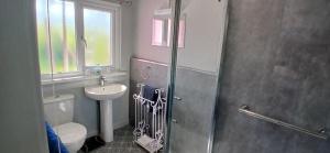 a bathroom with a toilet and a sink and a shower at Brunant Arms Hotel in Caio +16 photos