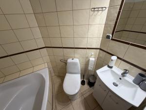 a bathroom with a toilet and a sink at Agroturystyka ''Dom Pod Karpiem'' in Zagórze Śląskie +2 photos