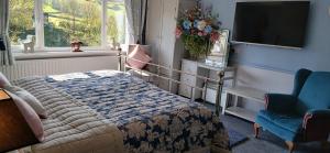a bedroom with a bed and a tv and a chair at Brunant Arms Hotel in Caio