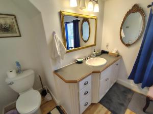 a bathroom with a sink and a toilet and a mirror at Digby Bed and Breakfast in Digby +35 photos
