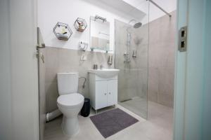 a bathroom with a toilet and a sink and a shower at Central Rent Apartments in Suceava