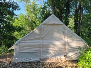 a tent in the middle of the woods at Tiny Timber Tent in West Danby