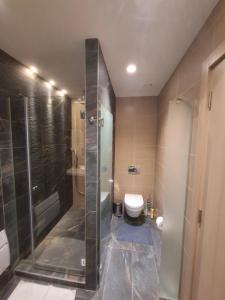 a bathroom with a shower and a toilet at Lunas Apartmani in Kopaonik