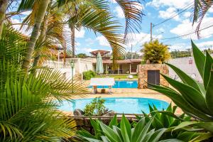 a swimming pool in a yard with palm trees at Pousada Refúgio Serrano in Serra Negra