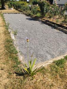 a flower in the middle of a gravel road at chambre Chez Sylvie in Allaire