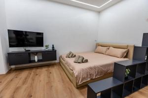 a bedroom with a bed and a flat screen tv at IlieskiApartment in Prilep