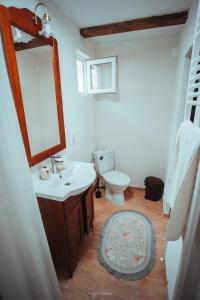 a bathroom with a toilet and a sink and a mirror at La Romaneasa in Săpânța