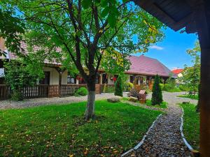 a tree in the yard of a house at La Romaneasa in Săpânța