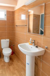 a bathroom with a sink and a toilet at Atlas Sud panorama in Imlil