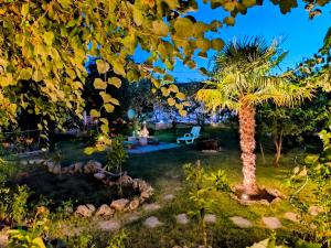 a palm tree in the middle of a yard at Apartments and Rooms Minex in Trebinje