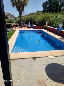 a swimming pool in a yard with at La Finca Roja una in Málaga +4 photos