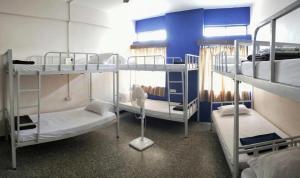 a room with three bunk beds and a blue wall at Monkey Mind Hostel in Madgaon +28 photos