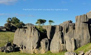 a large rock formation in a field with trees at Ripples Retreat - Riverside Luxury in Piopio