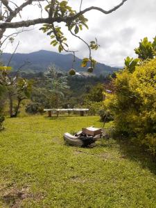 a motorcycle sitting in the grass in a field at Cabaña sol de oriente in Marinilla